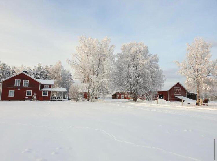 Hus I Ljuset Villa Nasaker Bagian luar foto