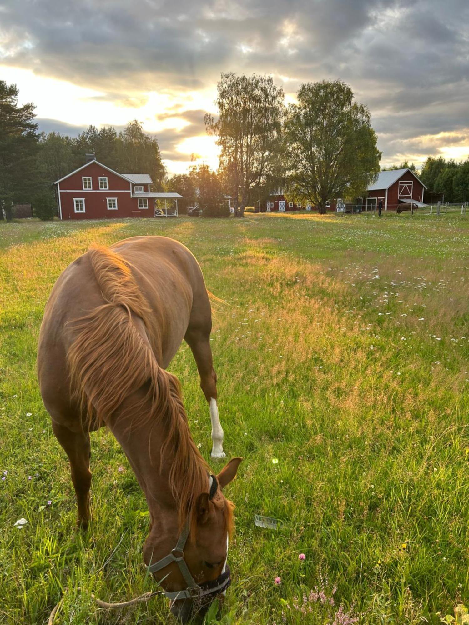 Hus I Ljuset Villa Nasaker Bagian luar foto